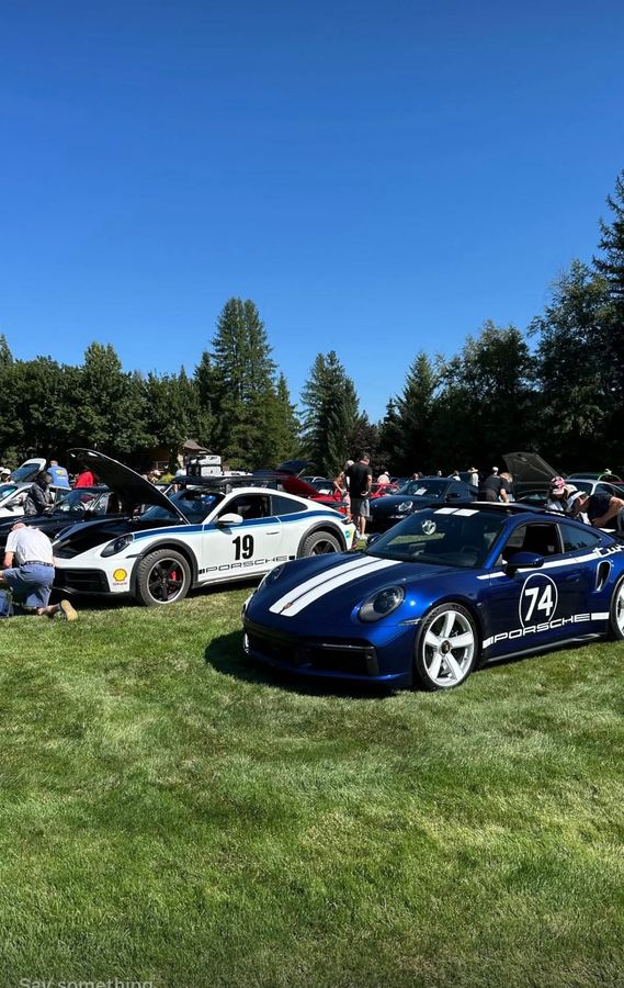 Blue and white Porsche 911s with racing livery on the grass